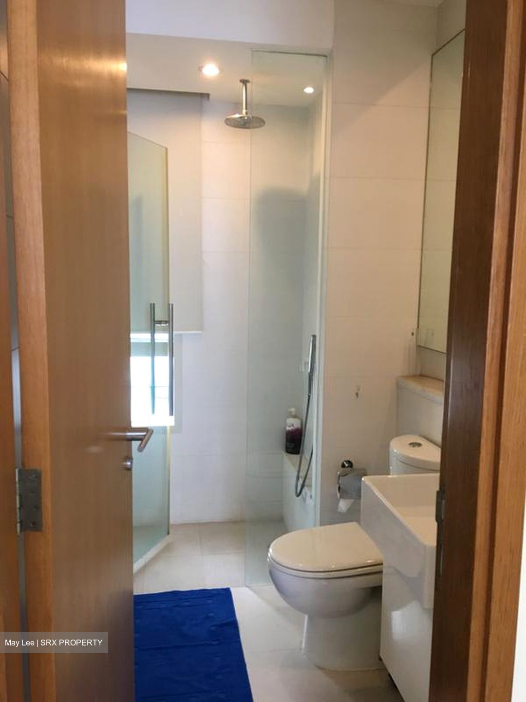 The Sea View (D15), Condominium #529366611